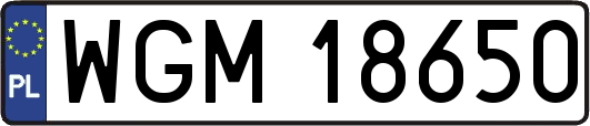 WGM18650