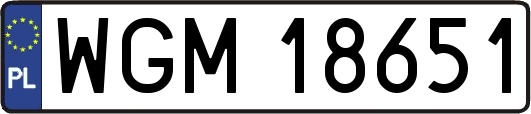 WGM18651