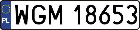 WGM18653