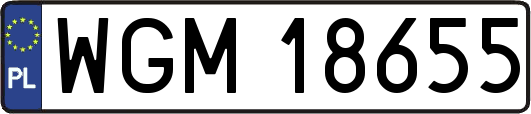 WGM18655