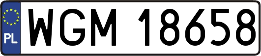 WGM18658