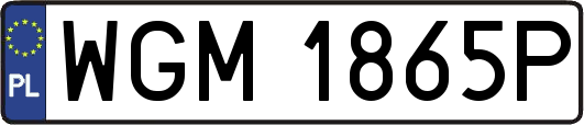 WGM1865P