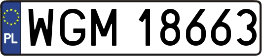 WGM18663