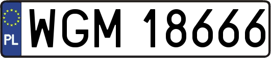 WGM18666