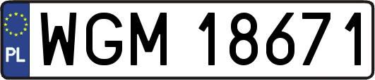 WGM18671