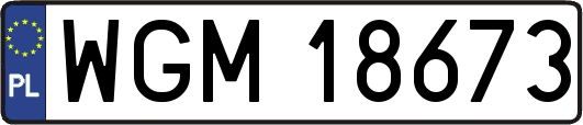 WGM18673