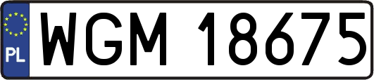 WGM18675