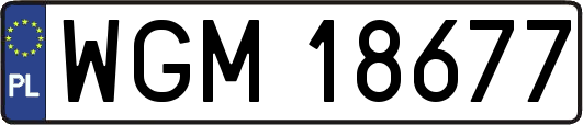 WGM18677