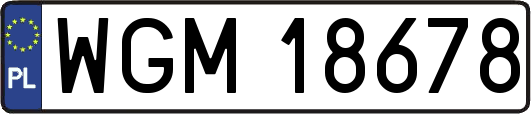 WGM18678