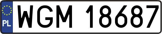 WGM18687