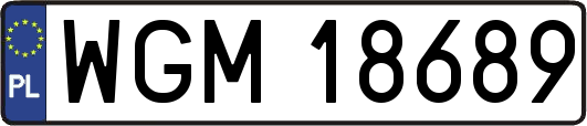 WGM18689