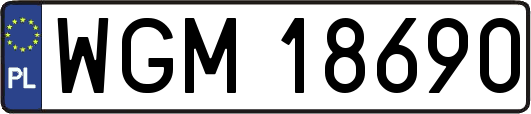 WGM18690