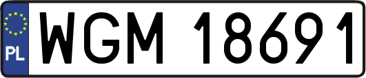 WGM18691