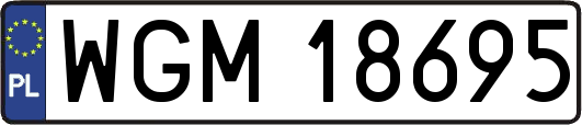 WGM18695