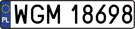 WGM18698