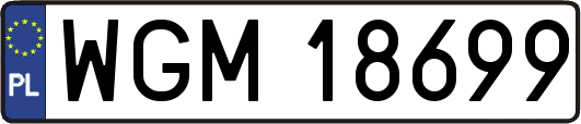 WGM18699