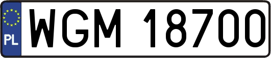 WGM18700