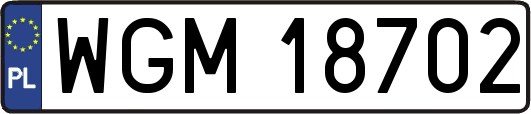 WGM18702