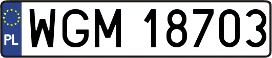 WGM18703