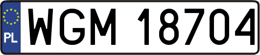 WGM18704