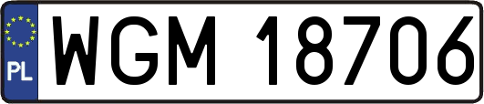 WGM18706
