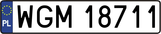 WGM18711