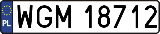WGM18712