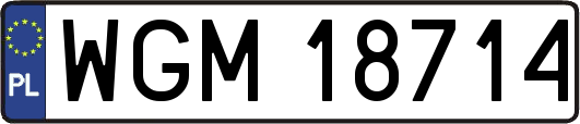 WGM18714