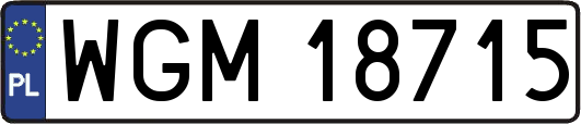 WGM18715