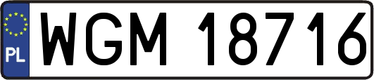 WGM18716