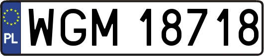 WGM18718