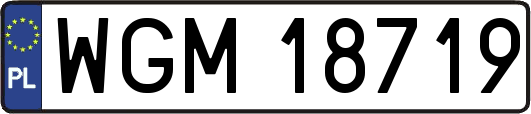 WGM18719