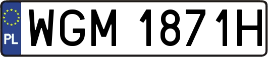 WGM1871H