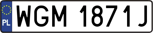 WGM1871J