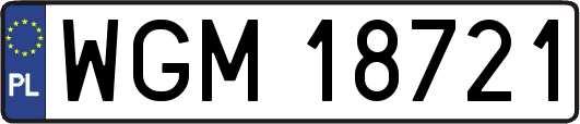 WGM18721