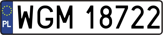 WGM18722
