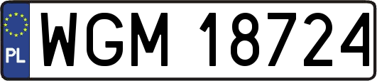 WGM18724