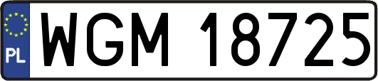 WGM18725