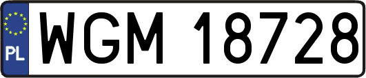 WGM18728