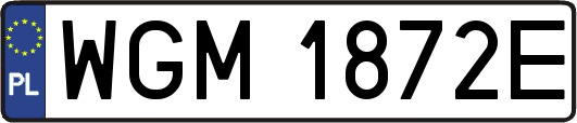 WGM1872E
