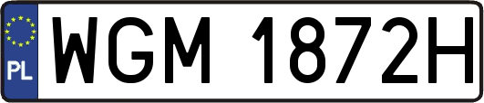 WGM1872H