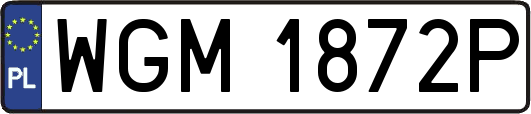 WGM1872P