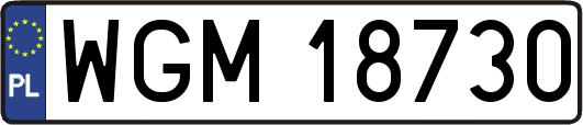 WGM18730