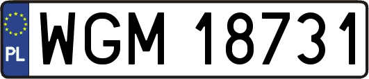 WGM18731