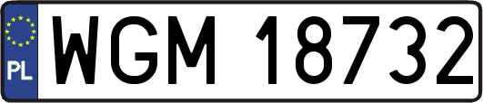 WGM18732