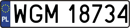 WGM18734
