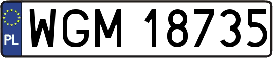 WGM18735