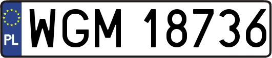 WGM18736