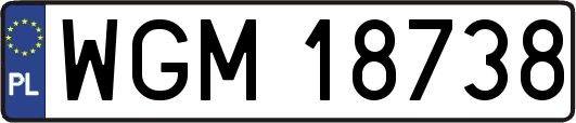 WGM18738