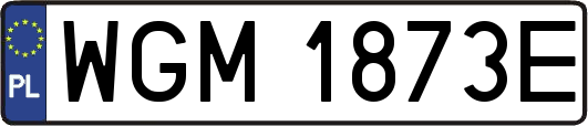 WGM1873E